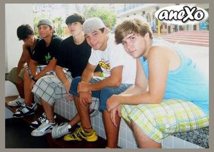 Anexo